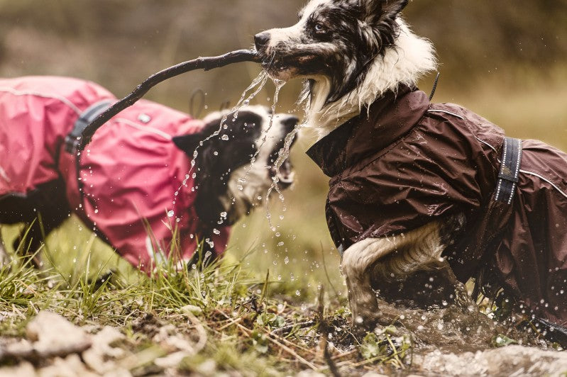 Hurtta torrent coat sales dog raincoat