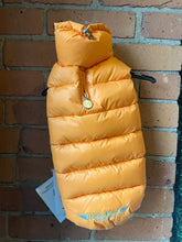 Puppy Angel Love Down Vest For Dachshund (Long Body, Snaps) PA-OW231