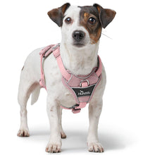 Hunter Divo Up Harness