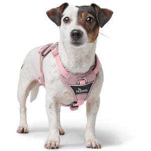 Hunter Divo Up Harness