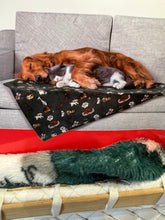 Dog and Cat Blanket