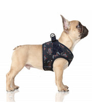 Milk and Pepper Turtle harness