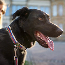 Hunter Davao Training Leash