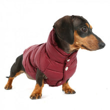 Puppy Angel Love Down Vest For Dachshund (Long Body, Snaps) PA-OW231