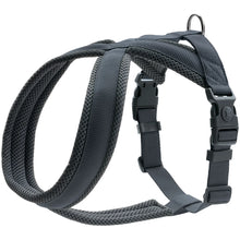 Hunter London Harness