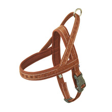 Hurtta Casual Harness Eco