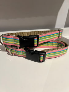 Poochie-Pets Clip Collar