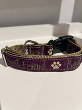 Poochie-Pets Clip Collar