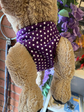 Camon Dog Panties
