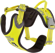 Hurtta Dazzle Harness