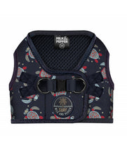 Milk and Pepper Turtle harness