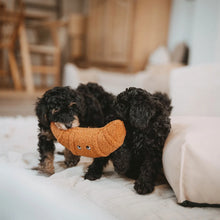 Hunter Dog Toy Belem Belem with Rope inside