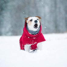 Hurtta Extreme Warmer