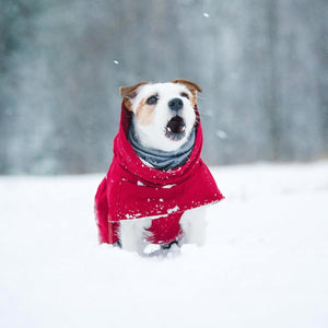 Hurtta Extreme Warmer