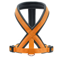 Hunter London Harness