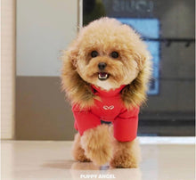 PuppyAngel Snowsuit for Girls only PA-OW519