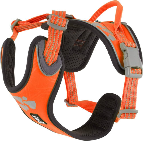 Hurtta Dazzle Harness