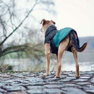 Hunter Uppsala Allrounder 2 in 1 Dog Coat