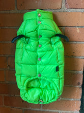 Puppy Angel Love Down Vest For Dachshund (Long Body, Snaps) PA-OW231