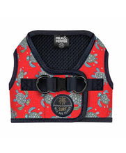 Milk and Pepper Turtle harness