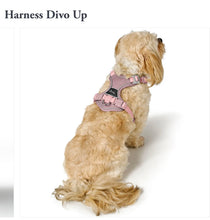 Hunter Divo Up Harness