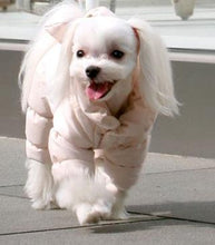 PuppyAngel PA-OW012 Snowsuit