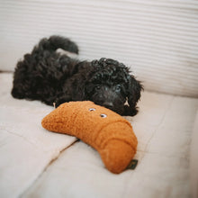 Hunter Dog Toy Belem Belem with Rope inside