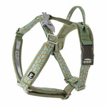 Hurtta Razzle Dazzle Y Harness