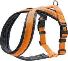 Hunter London Harness