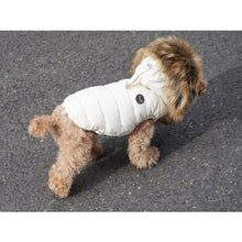 Puppy Angel Pa-OW535 WinterJacket Double Snap