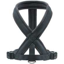 Hunter London Harness