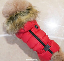PuppyAngel Snowsuit for Girls only PA-OW519