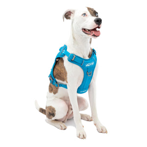 Kurgo County Harness for active dogs