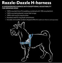 Hurtta Razzle Dazzle Nordic H-harness