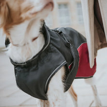 Hunter Uppsala Cozy Dog Coat