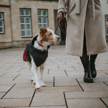 Hunter Uppsala Cozy Dog Coat