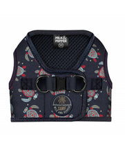 Milk and Pepper Turtle harness