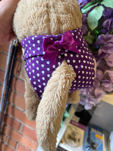 Camon Dog Panties
