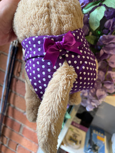 Camon Dog Panties