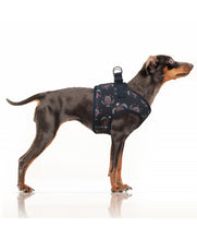 Milk and Pepper Turtle harness