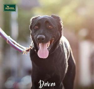 Hunter Davao Training Leash