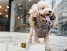 Puppy Angel Pa-OW535 WinterJacket Double Snap