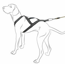 Hurtta X-Sport Harness