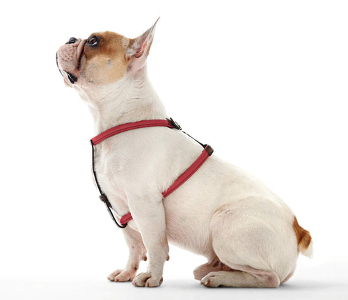 Hunter Calgary Soft Round Leather Harness