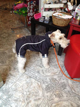 Puppy Angel Urban Outdoor Bodysuit Raincoat PA-OW222