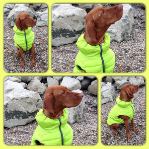 Puppy Angel Urban Outdoor Vest PA-OW203
