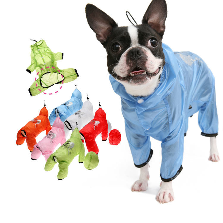 Boston 2024 terrier raincoat