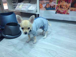 Puppy Angel Gingham Raincoat Overall PA-CT024