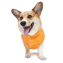 Puppy Angel Love Down Padding Vest (Long, Snap) For Welsh Corgi PA-OW228