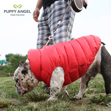 Puppy Angel Love Down Vest For Bulldog (Big Chest, Zipper) PA-OW229